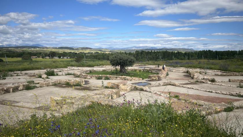 villa romana de Valdetorres de Jarama