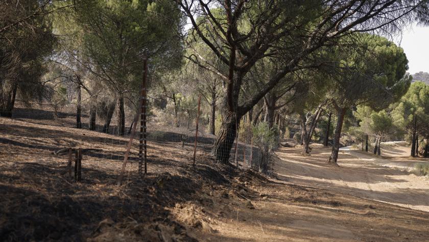 Sierra Oeste Sierra Oeste quemada por los incendios