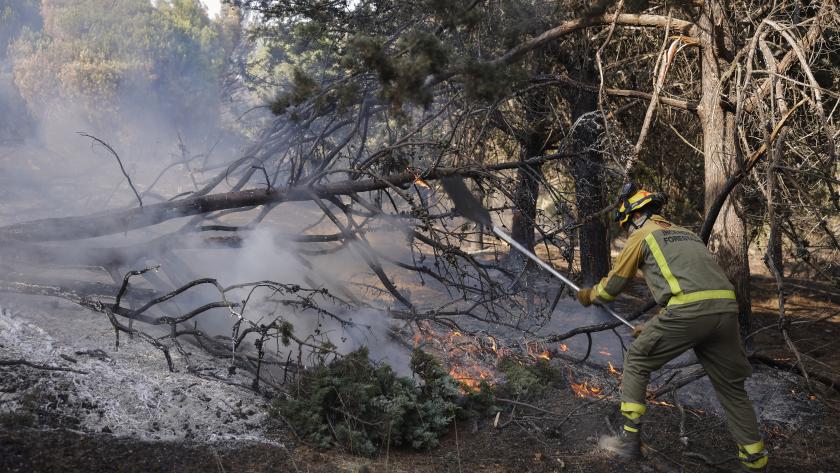 Sierra Oeste Sierra Oeste quemada por los incendios