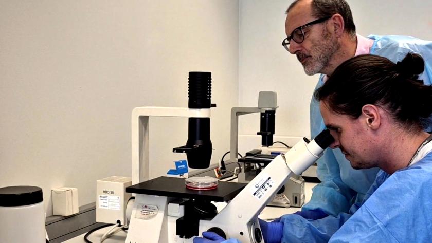 Científica investigando