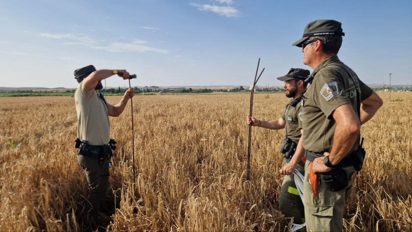 Los trabajos con maquinaria que pueda generar chispas, calor o descargas eléctricas en terreno forestal y en su zona de influencia requieren autorización de la Agencia de Seguridad y Emergencias Madrid 112 El Cuerpo de Agentes Forestales autonómico realiza inspecciones periódicas para comprobar que estas medidas se llevan a cabo