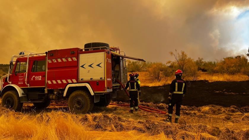 bomberos de la Comunidad de Madrid vigilando el ganado y los pastos