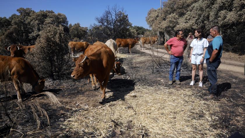 Díaz Ayuso anima a ciudadanos y turistas a visitar la Sierra Oeste