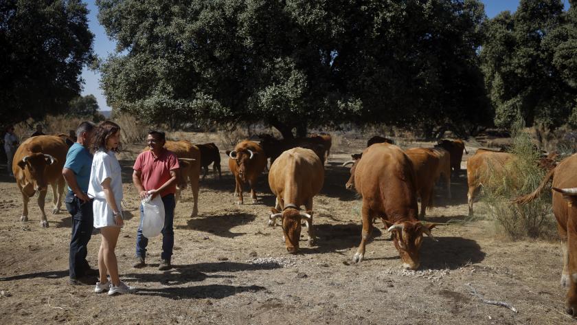 Díaz Ayuso anima a ciudadanos y turistas a visitar la Sierra Oeste