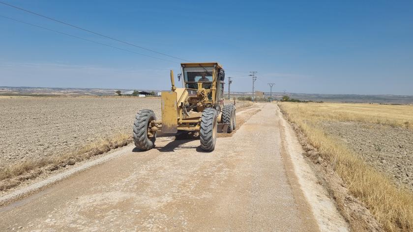 caminos rurales labores de desbroce, poda, limpieza y perfilado de los márgenes de la calzada