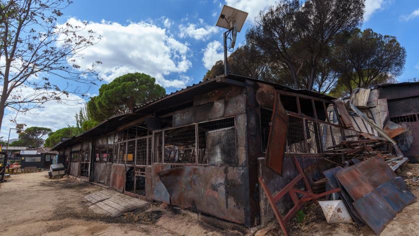 Daños provocados por los incendios en Pelayos de la Presa Daños provocados por los incendios en Pelayos de la Presa