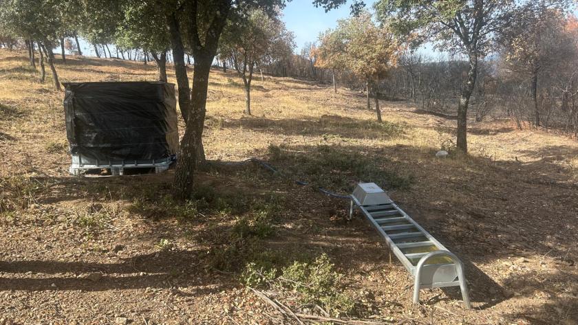 alimento y agua entre la fauna silvestre afectada por el gran incendio de la Sierra Oeste