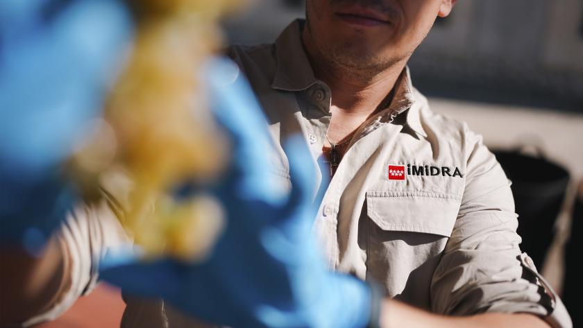 Técnico del IMIDRA