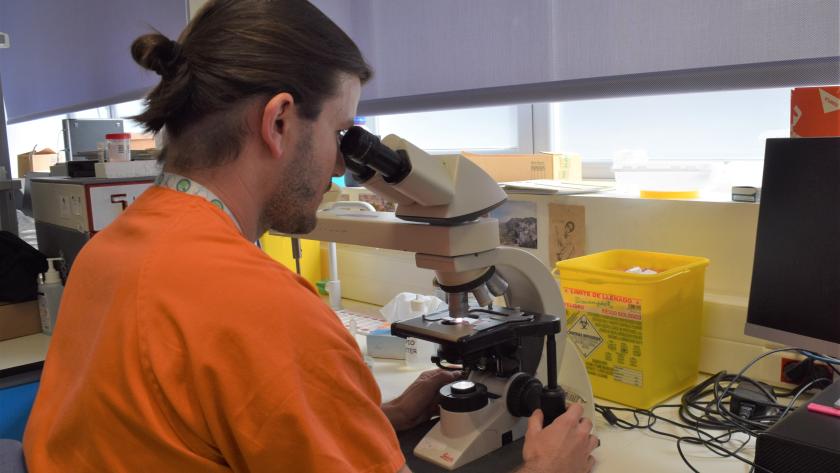 Profesional mirando una muestra a través de un microscopio