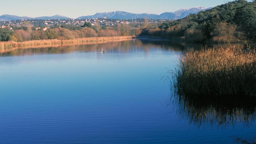 Embalse de Los Arroyos. El Escorial