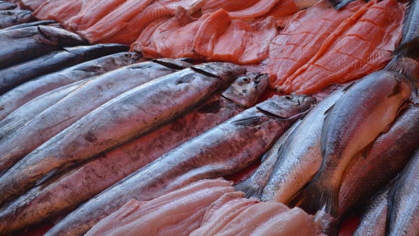 Pescados expuestos para la venta en una pescadería