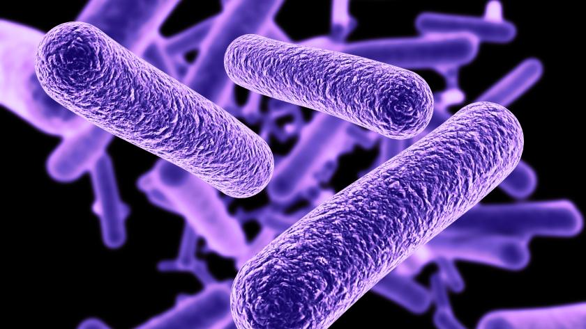 Imagen de una bacteria con tonos morados