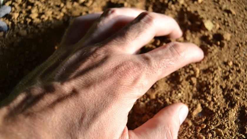 mano palpa tierra