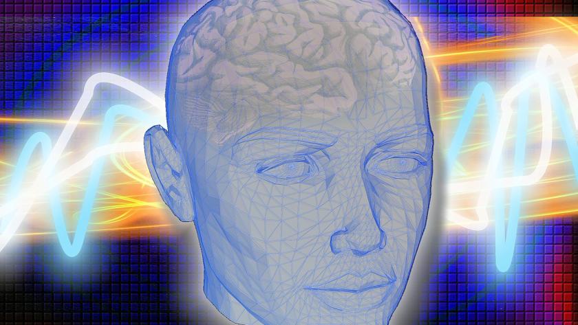El Hospital de Getafe incorpora la endoscopia para extirpar tumores de hipófisis Cerebro humano (dibujo)