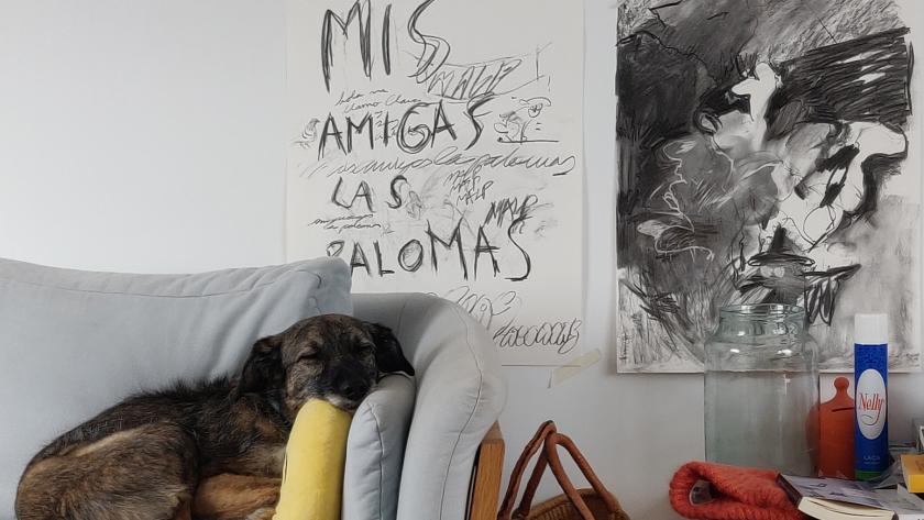 La Comunidad de Madrid inaugura una exposición que reflexiona sobre el arte emergente