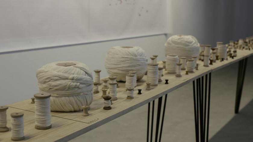 Muestra de Asturias Elisa Cuesta