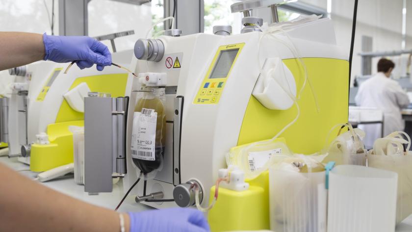 bolsa de sangre en una máquina fraccionadora donde se separan los componentes