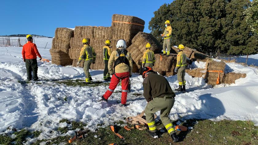 Grupo Especial de Rescate en Altura operación por vía aérea para alimentar ganado