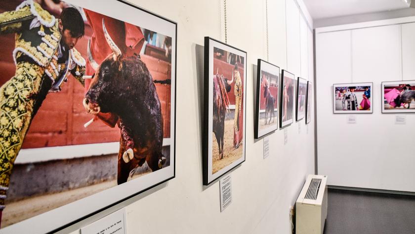 Exposición esDeToros Expo Arganda
