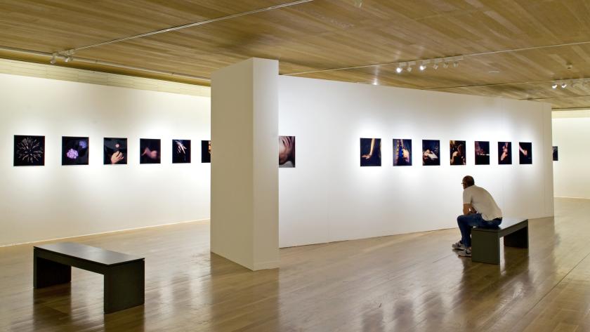 Alejandro Rego, Galería