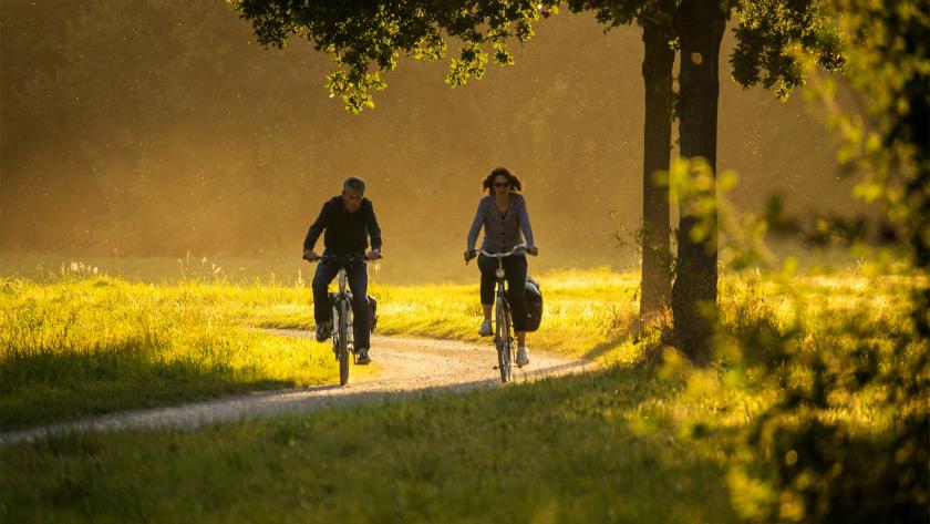 dos personas montando en bici por un parque