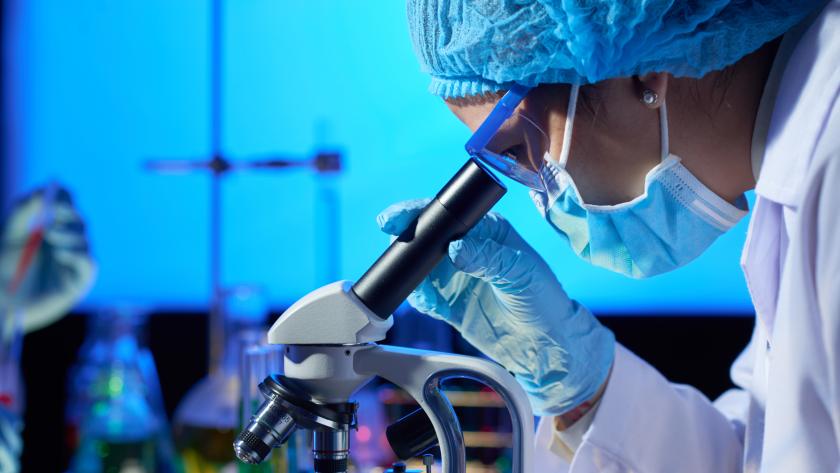Investigación
