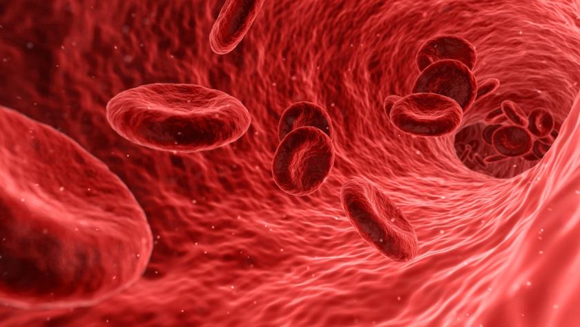 El Hospital La Paz lidera el grupo español de un estudio internacional sobre diálisis peritoneal Glóbulos rojos