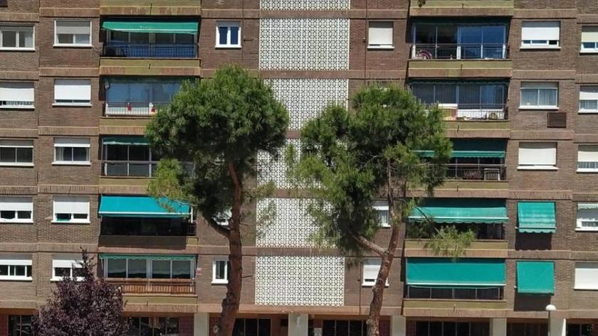 Arbolado urbano