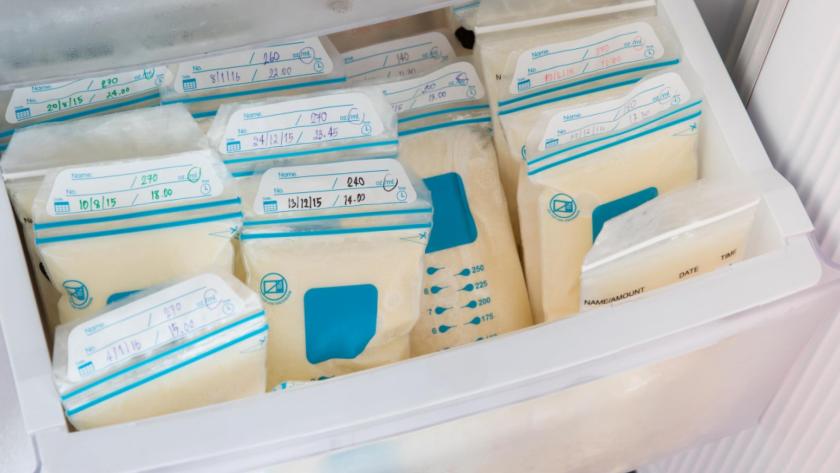 La leche materna es clave para proteger a los bebés de enfermedades