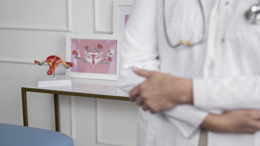 Curso Endometriosis La Paz