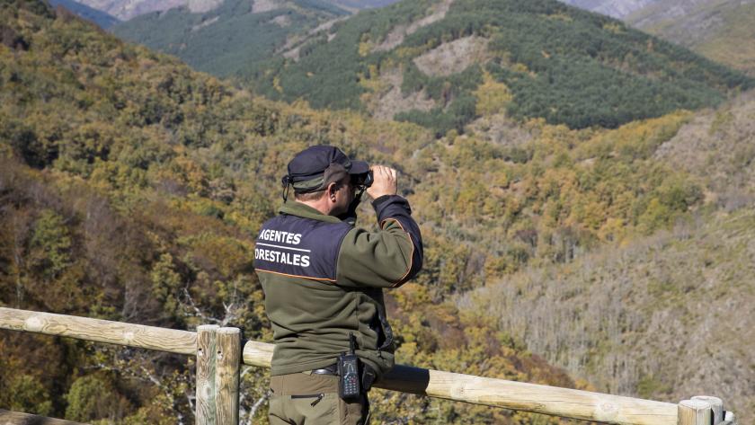 Un agente forestal de la Comunidad de Madrid de espaldas en una torre de vigilancia