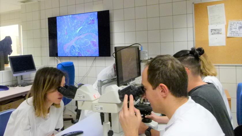 Sala Microscopios Laboratorio