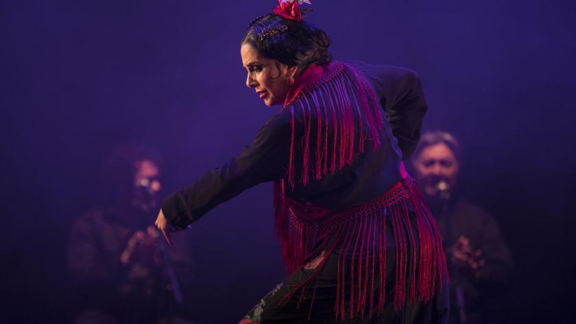 La Comunidad de Madrid dedicará su XIX Festival Suma Flamenca a la contribución a este arte desde el Tajo de Ronda a Cartagena Actuación de Suma Flamenca