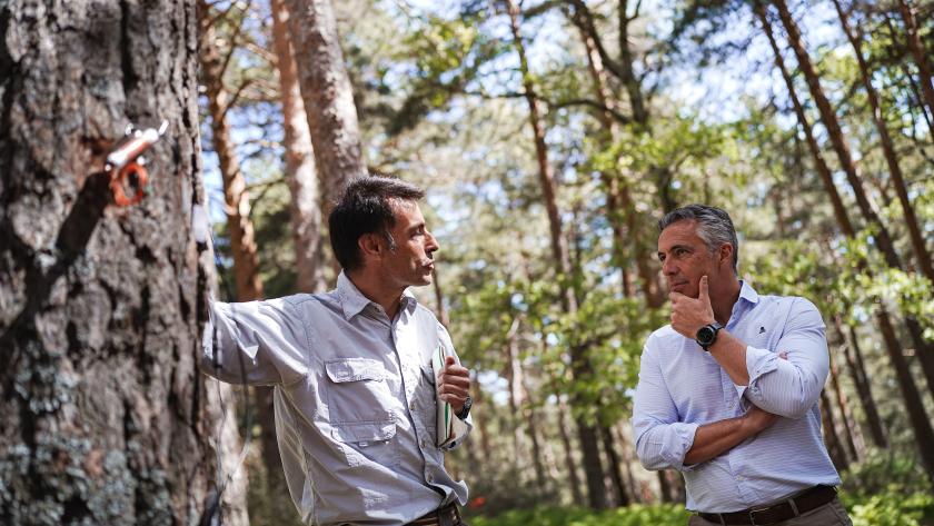 La Comunidad de Madrid estudia el aumento de agua en la vegetación forestal para evitar incendios e incrementar la capacidad de los embalses El consejero Novillo