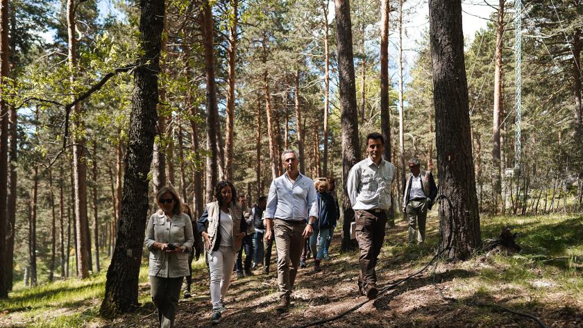 La Comunidad de Madrid estudia el aumento de agua en la vegetación forestal para evitar incendios e incrementar la capacidad de los embalses El consejero Novillo