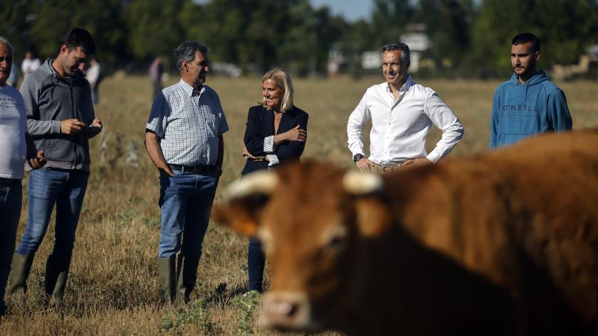 Novillo visita una ganadería de vacuno en Collado Villalba El consejero Carlos Novillo durante su visita a una ganadería de vacuno en Collado Villalba