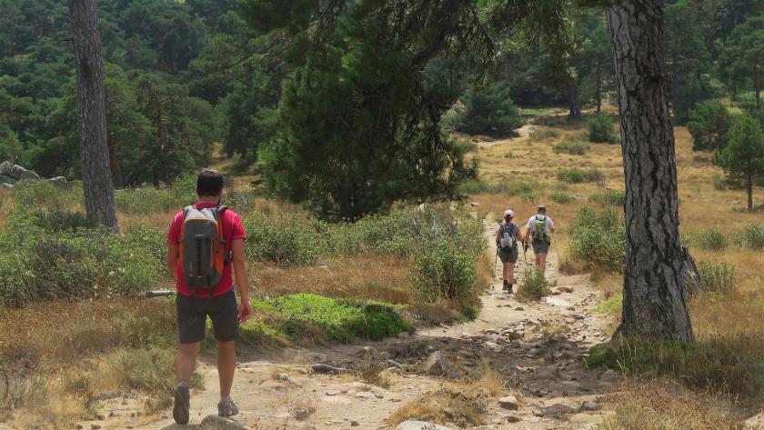 Rutas verdes de la Comunidad de Madrid
