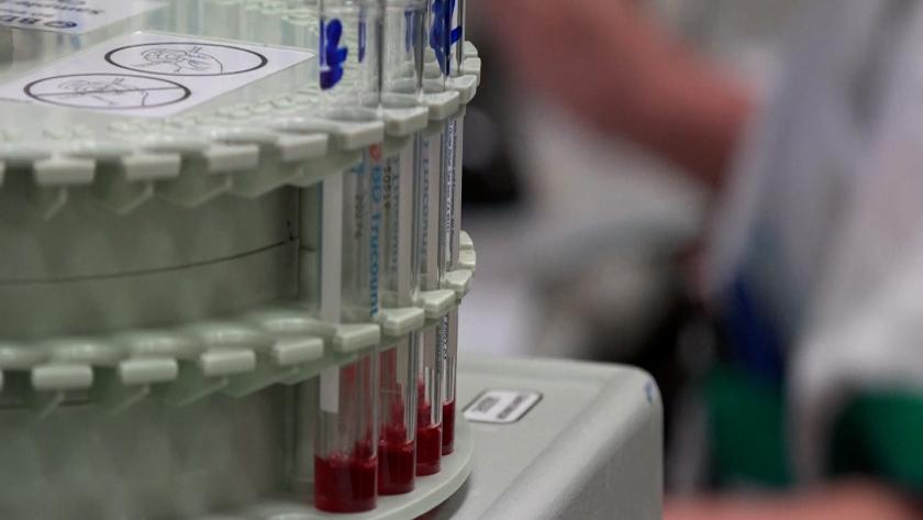Muestras de sangre en un laboratorio Tubos de sangre en un laboratorio