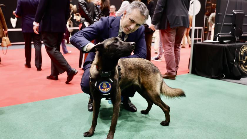 El consejero Carlos Novillo en el reconocimiento de la etiqueta Wildlife Estates La Comunidad de Madrid, reconocida con la etiqueta de calidad por su excelente gestión de la Reserva Nacional de Caza de Sonsaz