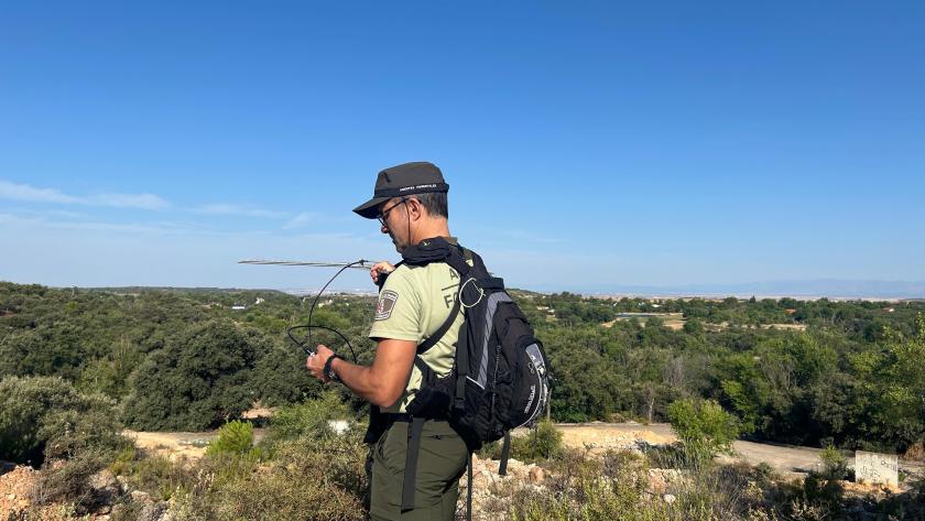 Cuerpo de Agentes Forestales Agente Forestal