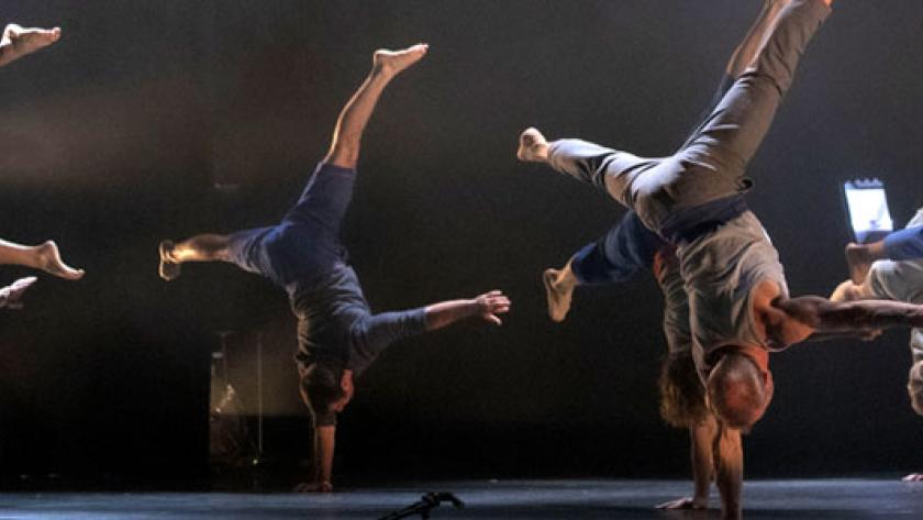 Foto de Le Complexe de l’Autruche | Collectif d’équilibristes