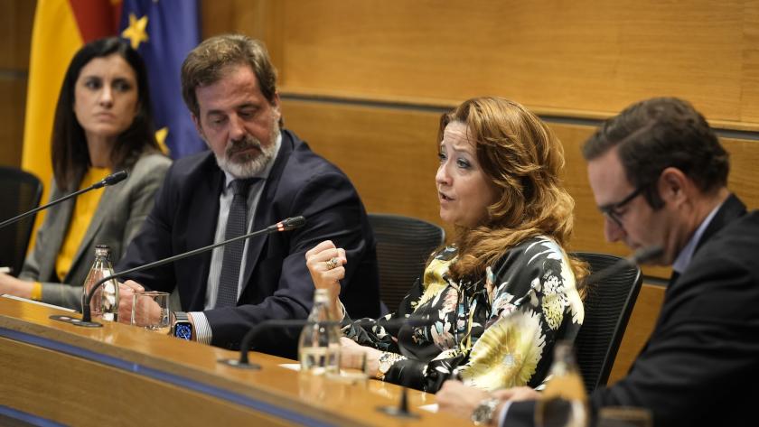 La consejera Fátima Matute durante su intervención en la Comisión