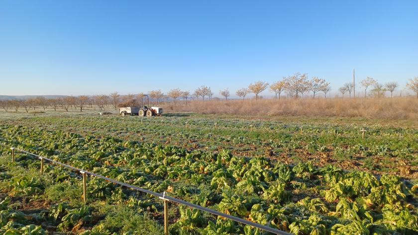 terreno rústico terreno rústico para agricultura