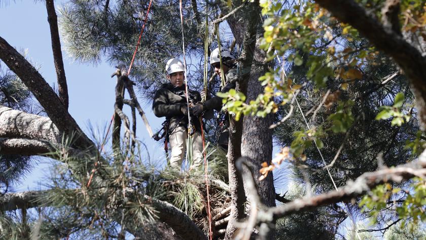 Novillo conoce una de las actuaciones del Grupo de Intervención en Altura del Cuerpo regional de Agentes Forestales El consejero Carlos Novillo con el Grupo de Intervención en Altura del Cuerpo regional de Agentes Forestales