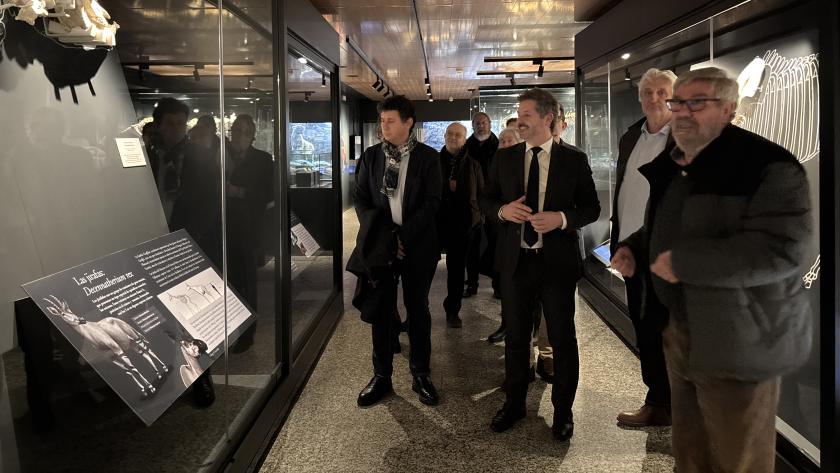 De Paco Serrano presenta la I Guía de la Sala de Paleontología Emiliano Aguirre del Museo Arqueológico y Paleontológico El consejero Mariano de Paco Serrano durante la presentación de la I Guía