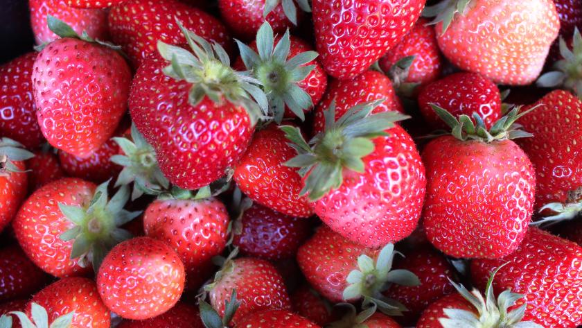 fresas en bandeja