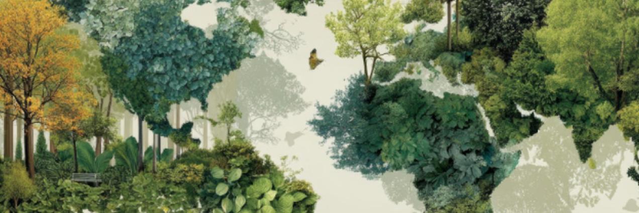 Un mapa del mundo tejido por bosques