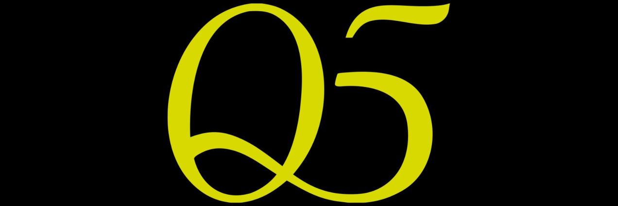Logo Q5