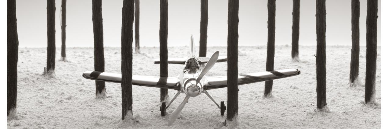 Avión de juguete entre árboles