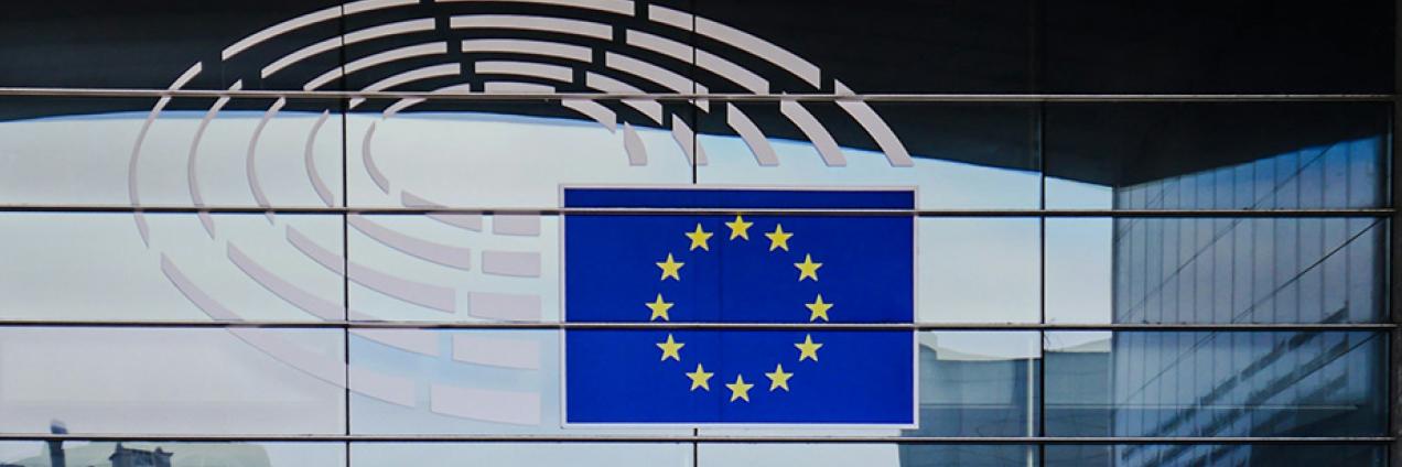 Seminario para trabajar en la UE